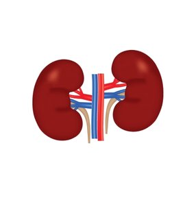 Chronic Kidney Disease