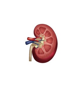 Urinary Tract Infections