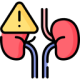 kidney